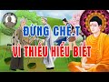 Kể Truyện Đêm Khuya Đừng Chê t Vì Thiếu Hiểu Biết Bạn Sẽ Thay Đổi Cách Sống Khi Nghe Câu Truyện #Mới