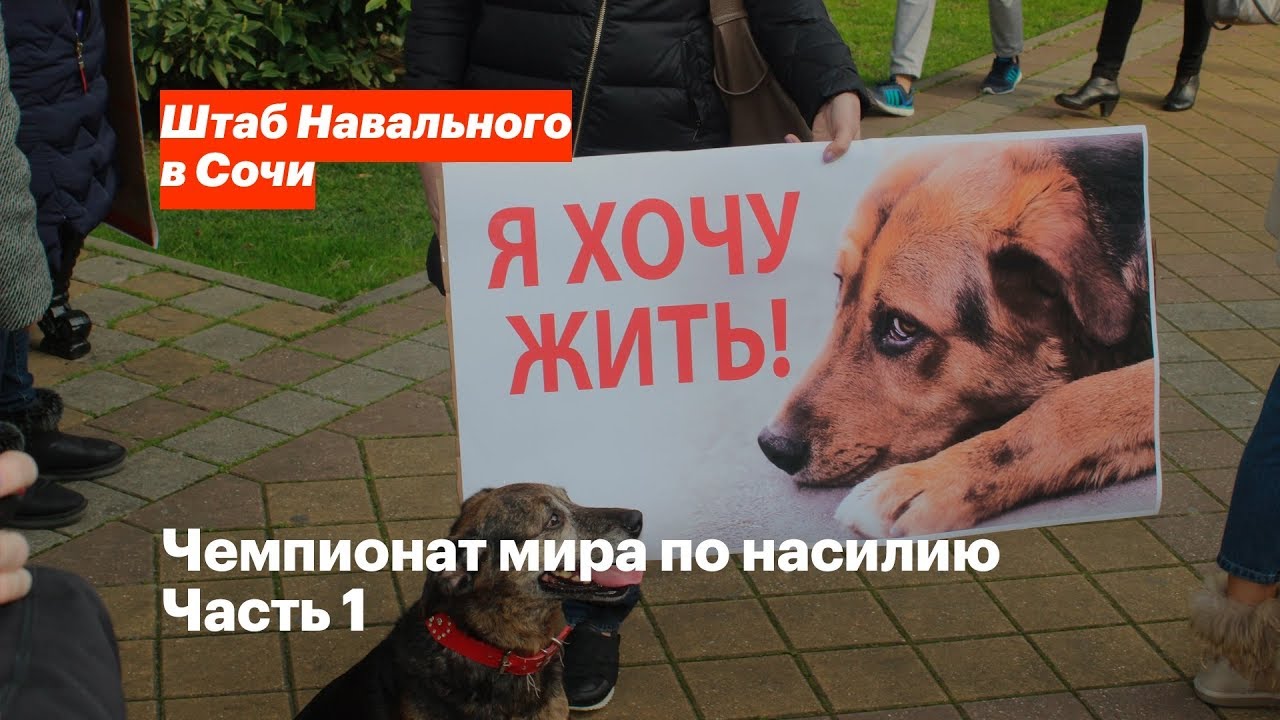 крупные выигрыши на чемпионатах мира крупные выигрыши на чемпионатах мира