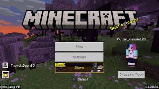 I need help with Minecraft come play with cassie