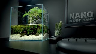 Nano Cube Tank Cliff with flowing Waterfall Aquaterrarium No filter,No co2 Paludarium