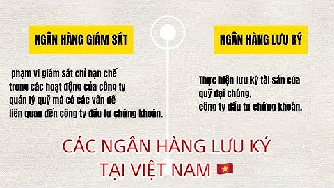 Số tài khoản tại ngân hàng lưu ký là gì năm 2024