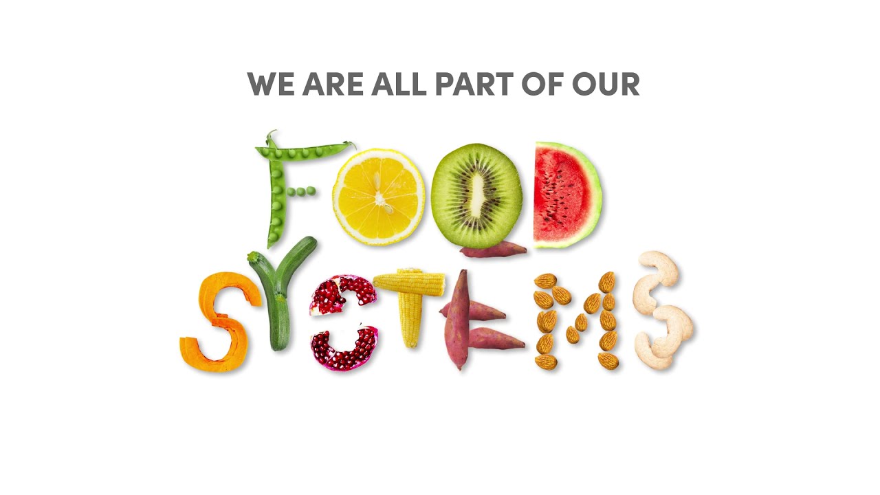 Food Systems: Our food, our health, our future
