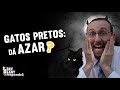 Gatos pretos: dá azar? | Rav Sany Responde