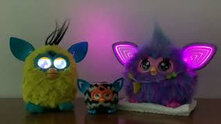 Furby 2012, Furby Furbling and Furby 2023 Interaction