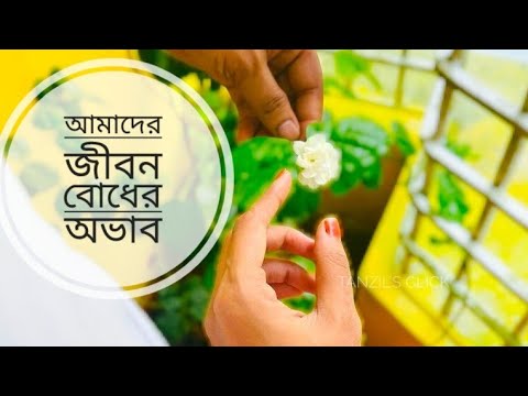 ভিডিও: পরাজয় কি একটি শব্দ?