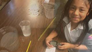 Kindergarten STEM Fall 2019
