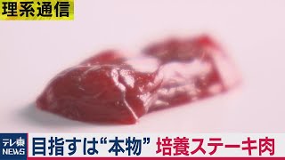 目指すは“本物” 東大生研×日清食品の培養ステーキ肉【橋本幸治の理系通信】（2021年3月10日）