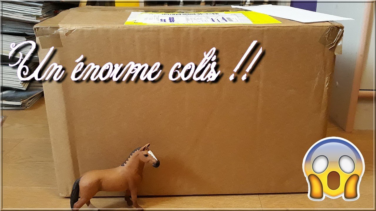 Ouverture d'un énorme colis de figurines !!