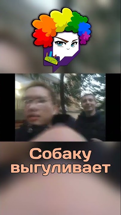 #danoneflex #данонфлекс #стопбан #собака - YouTube