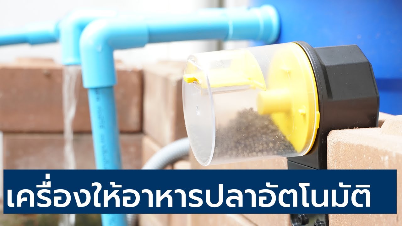 เครื่องให้ อาหารปลา อัตโนมัติ | สรุปเนื้อหาที่เกี่ยวข้องเครื่อง ให้ อาหาร ปลา อัตโนมัติที่สมบูรณ์ที่สุด