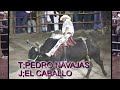 CaBallo de jalisco con El Pedro navajas del caporal del diablo Jorge rojas