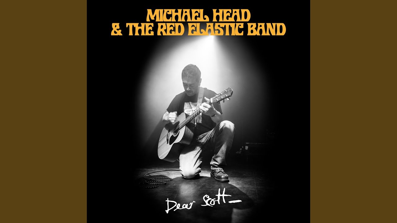 The Grass - Michael Head & The Red Elastic Band: Song Lyrics