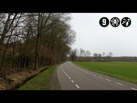 Video: 40-jarige vrouwen op jacht naar jongeren