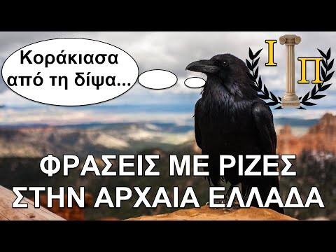 Βίντεο: Από πού προέρχεται το όνομα felicia;