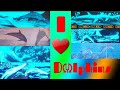 Compilation de fonds dcran des units principales pioneer et premier dauphins  partie 1