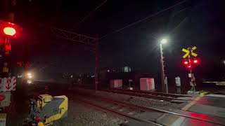 【めっちゃ飛ばす貨物列車】51M  M250系SRC（東京タ発安治川口行）東海道本線東屋敷踏切　高速通過#スーパーレールカーゴ #M250系