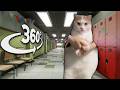 360° Cat Dancing To EDM - In YOUR School | 4K VR 360 Video