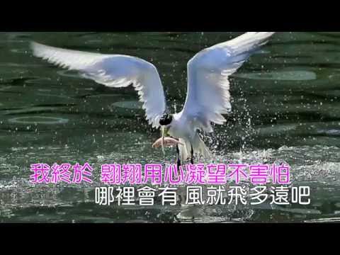 隱形的翅膀-張韶涵歌詞《Karaoke 》