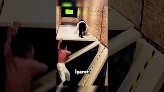 Ah Ah Bu Naciye Ne Zaman Akıllanacak