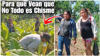 Download Lagu No todo es chisme dijerón|aquí es donde la flaka conocio al primo de pauloba?😱 MP3