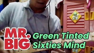 Mr Big - Green tinted sixties mind