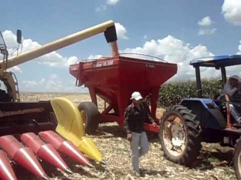 tc 59 na fazenda cercado grande