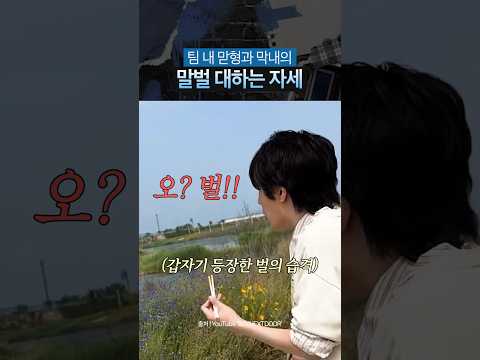 [보넥도] 말벌로 보는 맏형과 막내의 차이