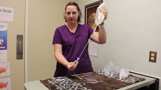 How to give subcutaneous fluids to a dog