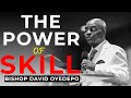 Bishop david oyedepo  the power of skill  principles for mastering skill and attitude