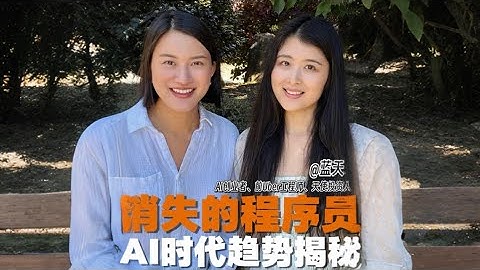 AI时代，消失的程序员，和越来越重要的软实力（上集）｜The Disappearing Programmer – And the Rise of Human Skills in AI Era