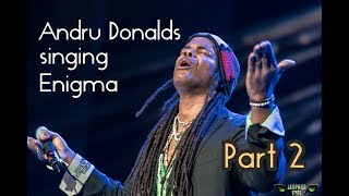 Andru Donalds covers Enigma (Live Russia Tour 2017) pt.2