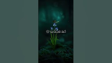 فناداها من تحتها ألا تحزني/ القارئ أحمد النفيس #قرآن