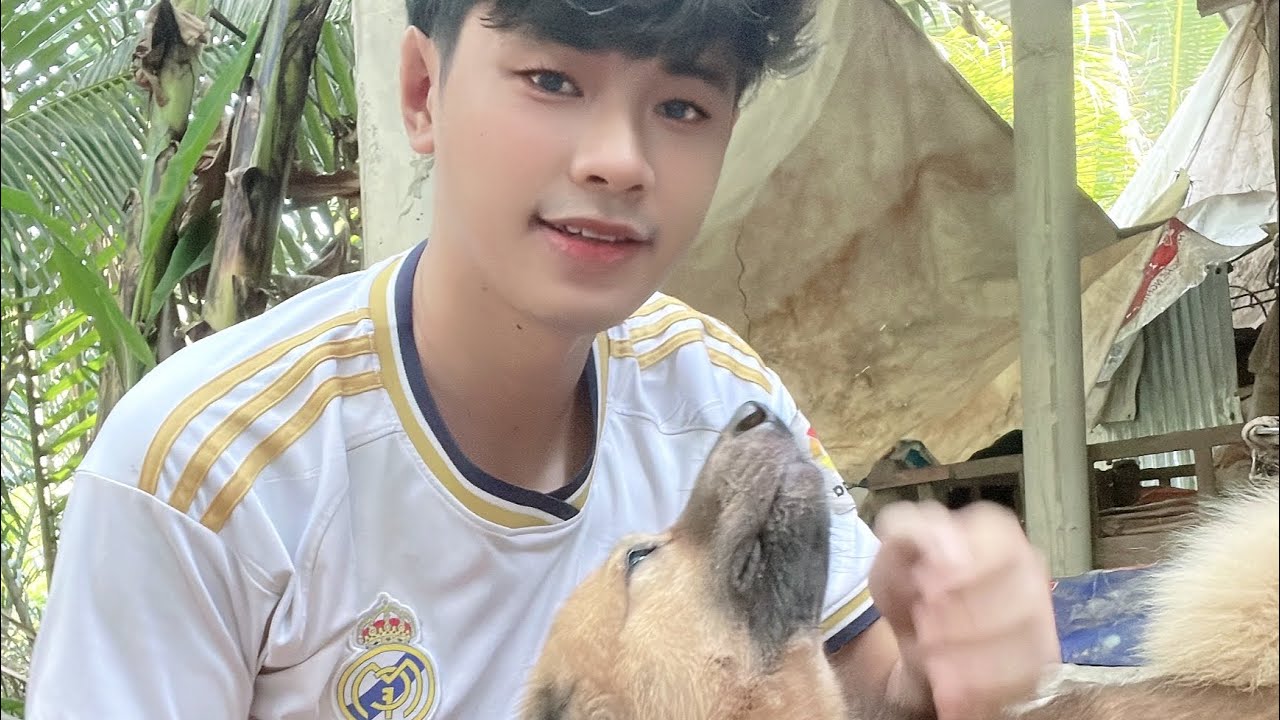 Good morning in Vietnam for chickens, ducks and rabbits to have breakfast and play with pet dogs