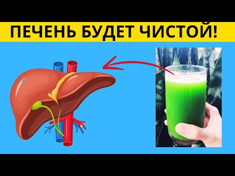 Попробовал этот напиток и моя печень стала работать как часы! Всего один стакан в день