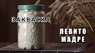 Закваска. Пошаговый рецепт. Выведение закваски Левито Мадре.