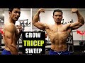 TRICEP LONG HEAD- "Scapula" technique to grow bulging sweep(Exercise science)