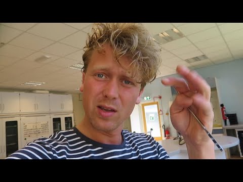 Video: Hoe beïnvloedt het toevoegen van een remmer de reactiesnelheid?