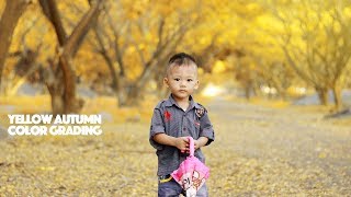 Photoshop Tutorial Autumn | How to Change Color Background screenshot 2