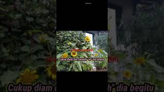 Download Lagu Cocofun STORY WA QUOTES 30 DETIK TERBARU Ngakak Dan Baper Video Cocofu 67 MP3