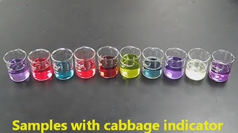 Amazing Experiment with Cabbage Juice Indicator - Mr Pauller