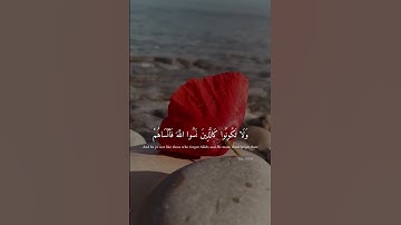 قران كريم |ارح سمعك |حالات واتساب |ماهر المعيقلي
