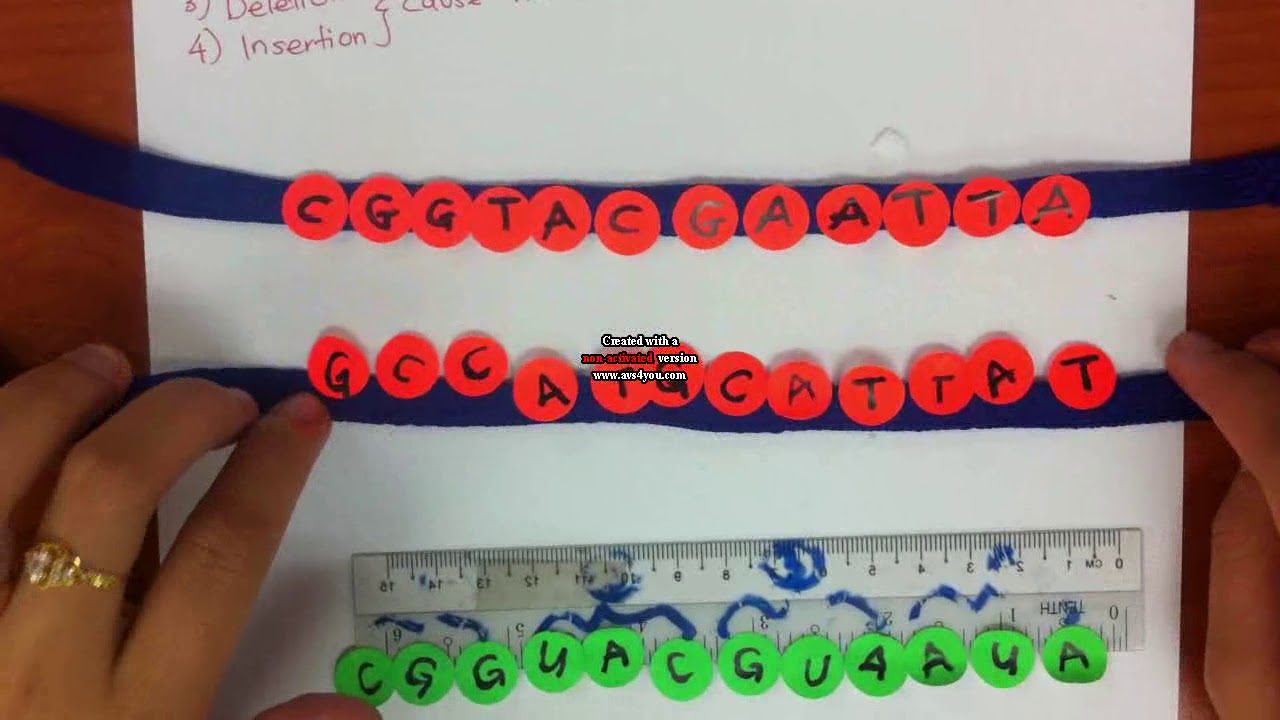 VP Mutation Base Inversion - YouTube