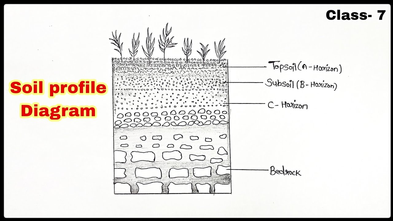 Soil layers drawing hires stock photography and images  Alamy