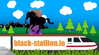 Celebrity // Black Stallion // Let's Change The Way The World Sees Crypto  \\ CryptoExpress \\ Profile