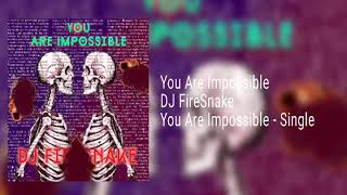 You Are Impossible - DJ FireSnake
