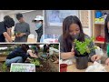 Vis pbl exhibition g11  g12green thumb promotional trailer