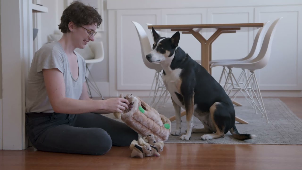 outward hound squeakin eggs