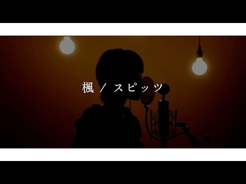 【眠れない夜に聴くカバー曲】楓/スピッツ（vocal & guitar cover by A..＆Tomo Shimoda）