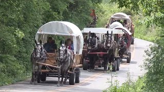 Middle Tennessee Mule Skinners Wagon Train