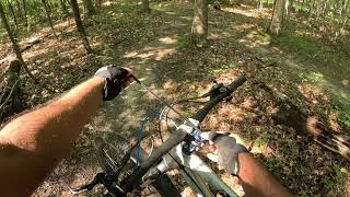 Advanced MTB Setup: How Stem Length and Bar Sweep impact Handling”